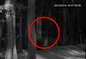 Ghost, Alien Or Bigfoot, Spine Chilling Video Caught On Forest CCTV Camera _ Real Life Scary videos