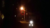 OMG! Spine chilling Video Of Scary Creature Caught On Camera _ Scary Videos