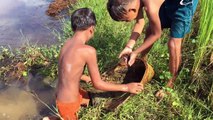 Guau tres Niños captura grandes tortuga utilizando tradicional herramientas cómo para captura tortuga en