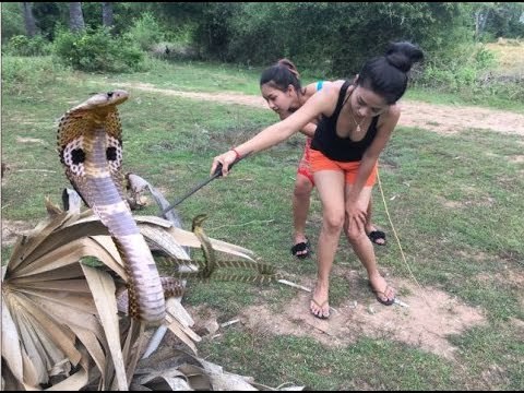 PESCA ARTESANAL DE SERPIENTES EN ASIA