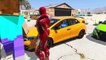 Şimşek McQueen ve Örümcek Adam Ultra Süper Araba İle Tanışıyor (Çizgi Film Tadında Türkçe