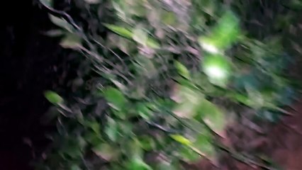 Original Scary Ghost Caught On Camera! True Ghost Videos 2017