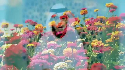 التفاؤل - الشيخ وسيم يوسف