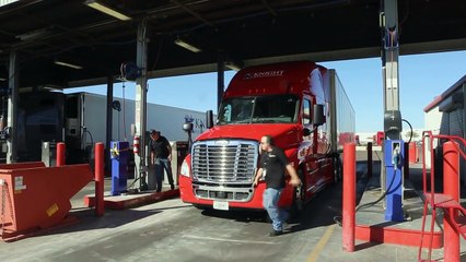 The Knight Life: Episode 5 | Tribute to Buddy Holly