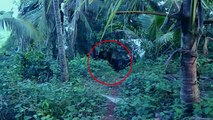 Real Ghost Caught on Tape Near Forest Cabin _ Shocking Ghost Sighting During Trekking _ Scary Video