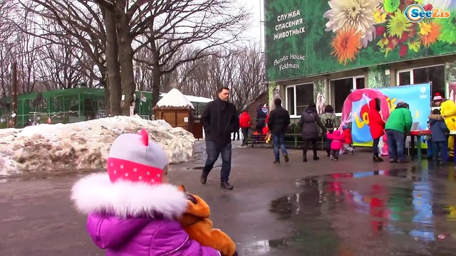 Обычная еда для животных | ВЛОГ Путешествие в Зимний зоопарк | Видео для детей