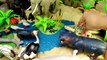 Safari Zoo Wild Animals Toys Schleich Toys Collection Learn Animal Names For Kids