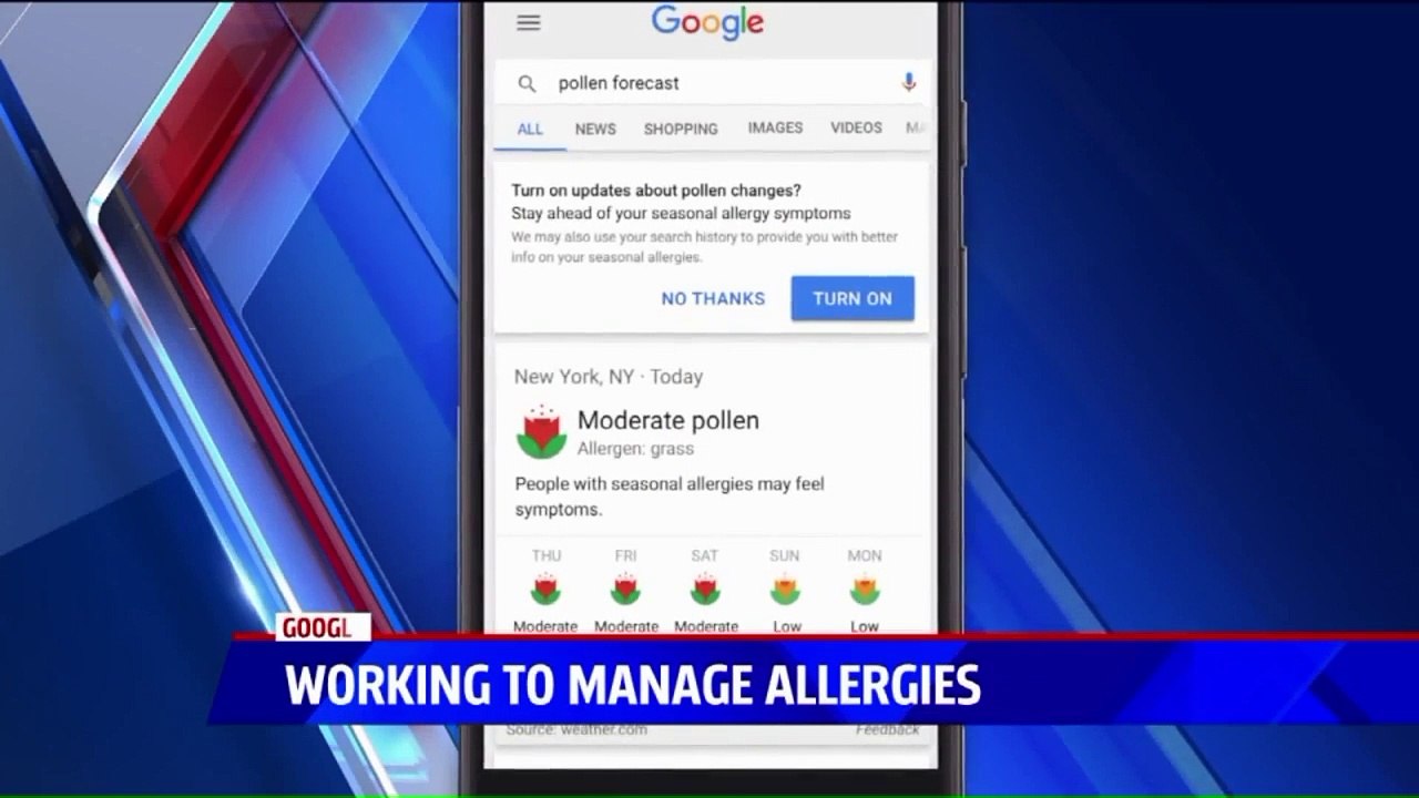 New Google Feature Can Help You Manage Allergies