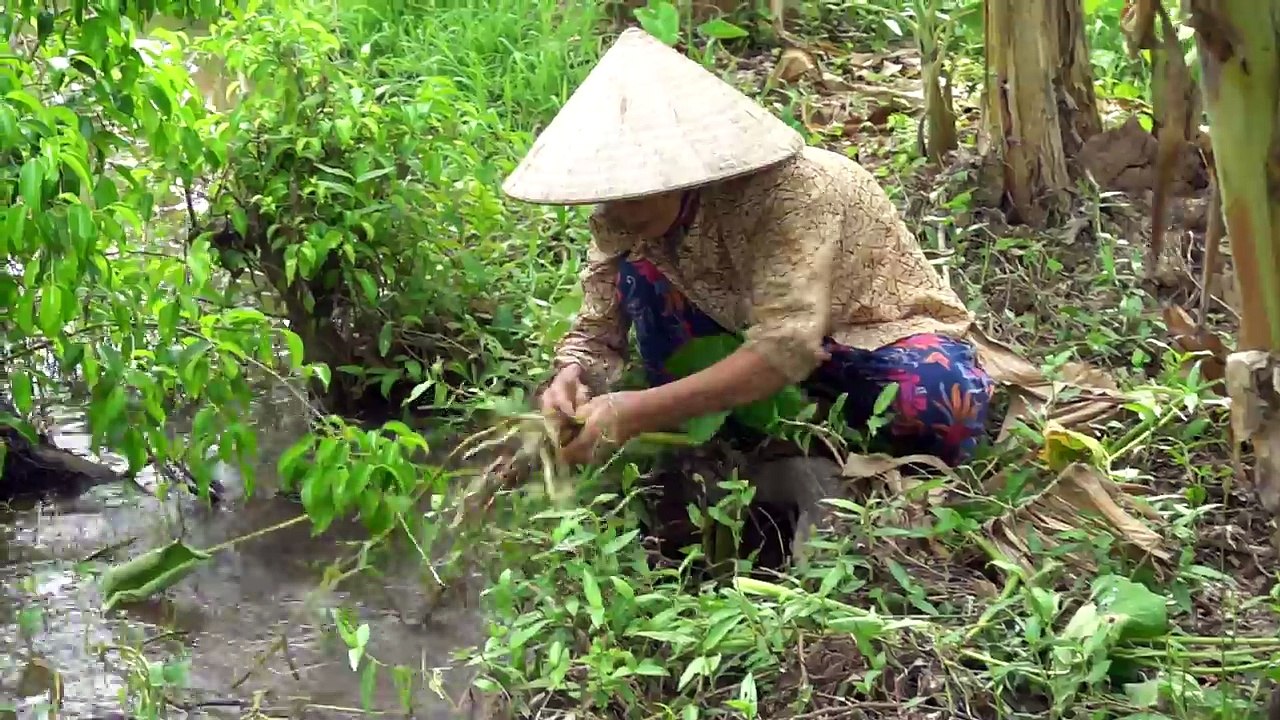 NTN - Thử Ăn Cám Lợn Món Ăn 1945 Việt Nam