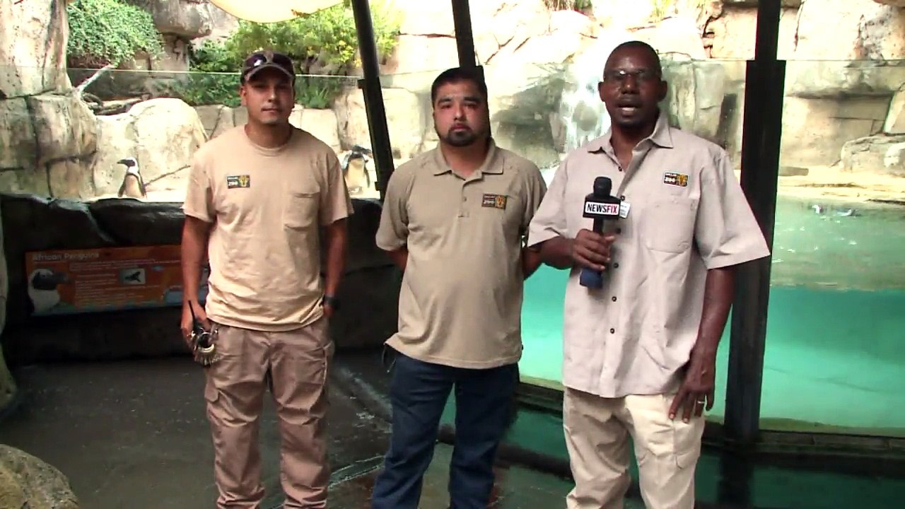 Dallas Zoo Workers Save the Day During Water Main Leak