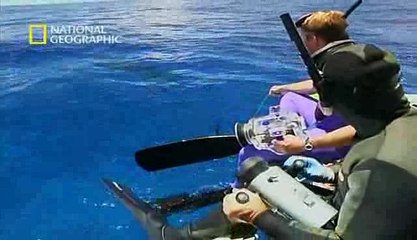 Documental - Encuentros Cercanos Con Tiburones