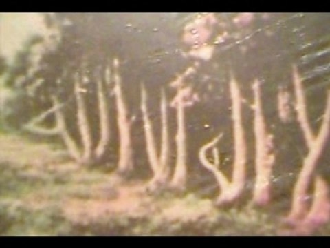 Anasheed Nasheed douce voix