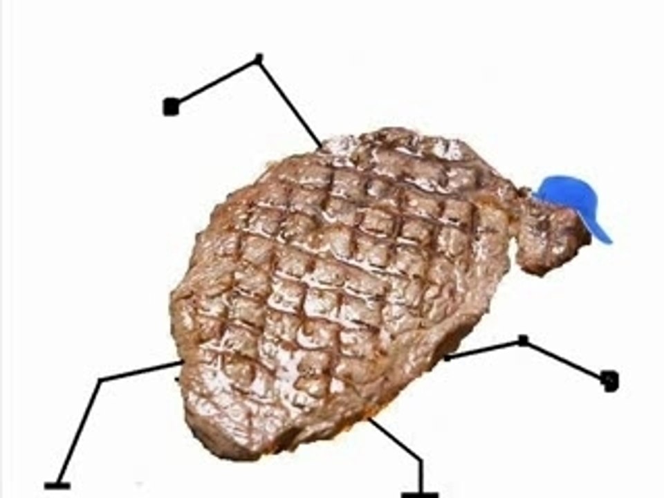 Steacktonik