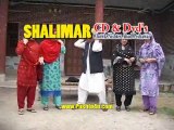 Pashto New HD Drama 2017 Razai Zama Wada De Part 3
