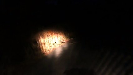 Shocking Ghost Sighting Caught On Camera _ Weird Creature Or Ghost _ Scary Video