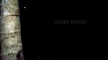 Screaming Spooky Ghost Real Or Fake_ Real Ghost Videos