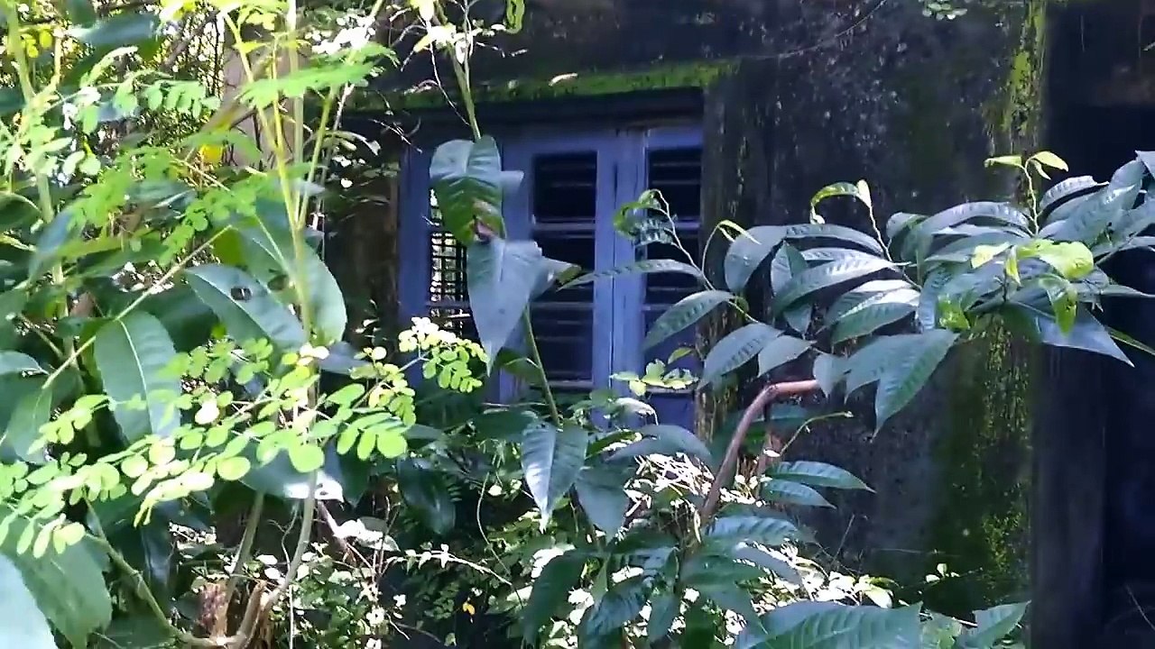 Shocking Ghost Video _ Most Scariest Ghost Sighting Caught On Tape From Haunted House _ Scary Videos