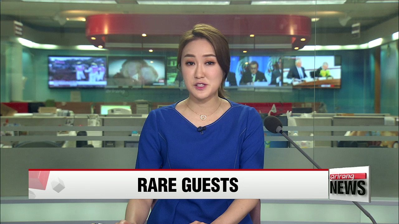 Endangered animals make rare appearance in Korea