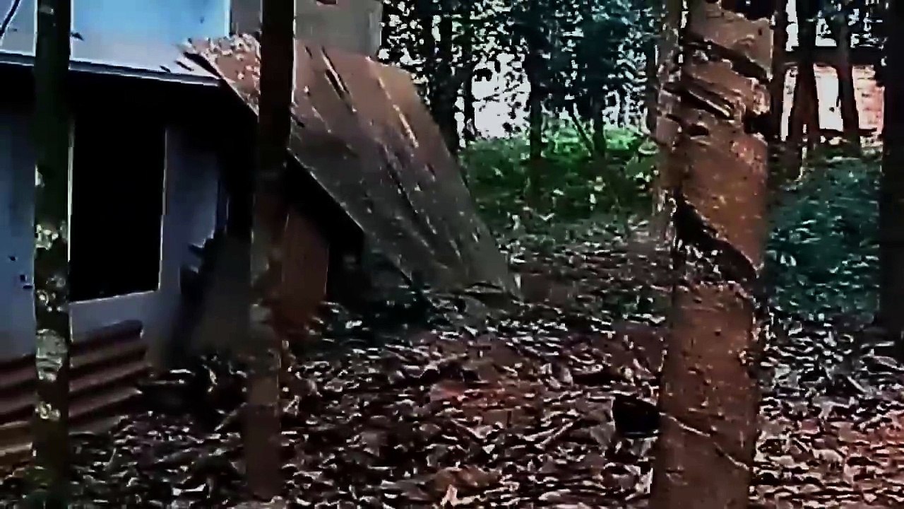 Terrific Ghost Sighting From A Haunted Rubber Plantation _ Scary Videos _ Real Ghost Caught On Tape