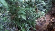 Terrific Ghost Sighting From Amazon Forest _ Ghost OR Alien _ Real Ghost Videos _ Scary Videos