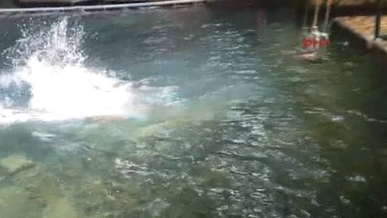 Muğla Ortaca ve Köyceğiz'de Sıcak Hava Bunalttı