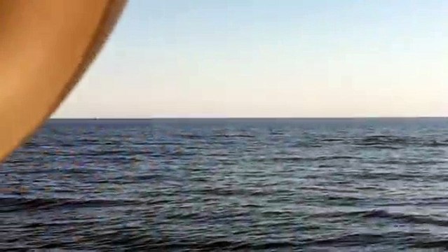 Banc de Dauphins au large du Cap d'Agde 07-08-2017