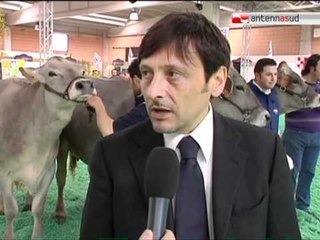 TG 24.04.12 Mostra bovina di Martina Franca, zootecnia pugliese prima al sud