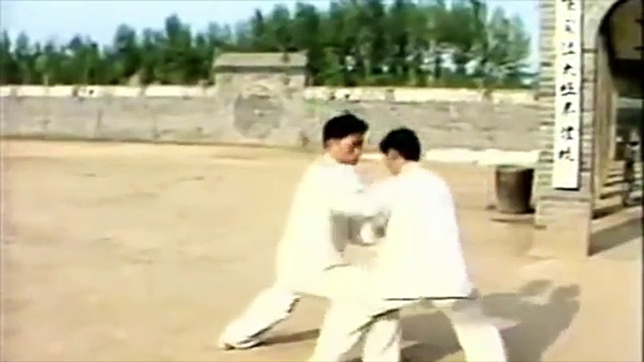 Taiji (Taichi) style Chen Tuishou Chen Xiao Wang et Chen Zheng Lei à Chenjiagou