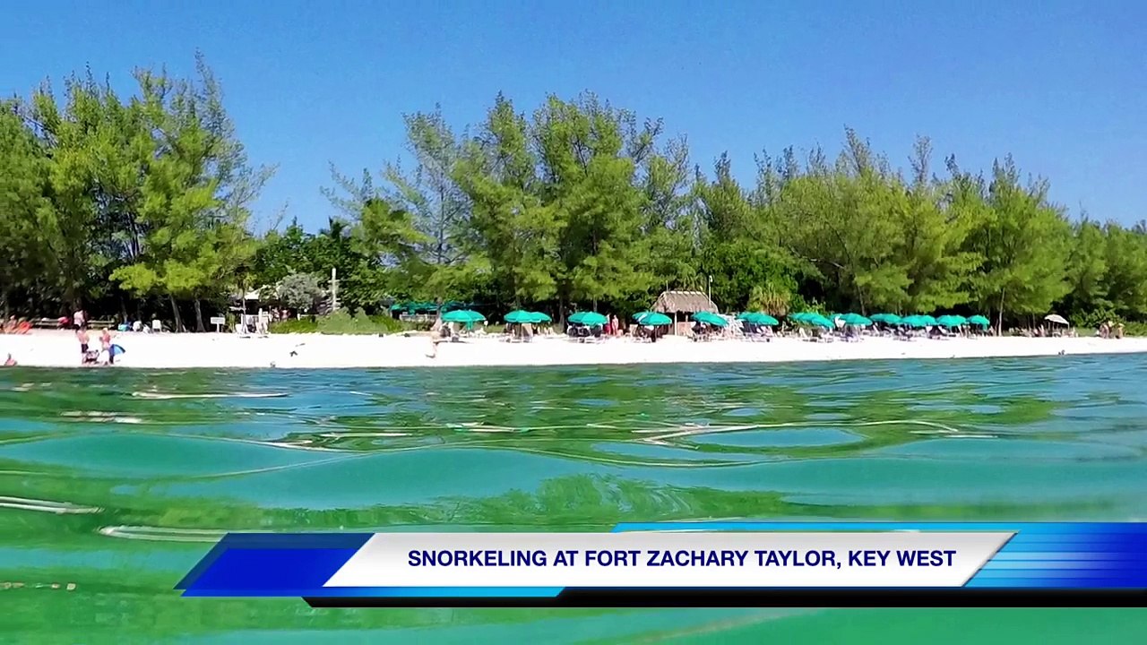 Snorkeling Fort Zachary Taylor | Key West