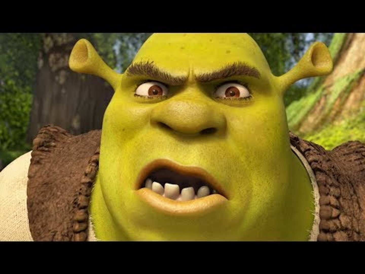 Shrek Smash n' Crash Racing Part 1 - FULL GAME - Shrek (PS2, PSP, Gamecube)  - video Dailymotion