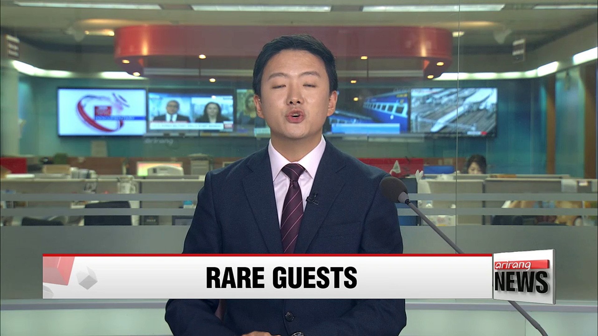 ⁣Endangered animals make rare appearance in Korea