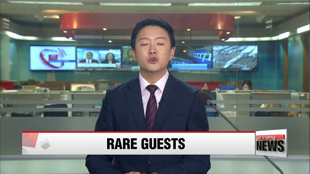 Endangered animals make rare appearance in Korea