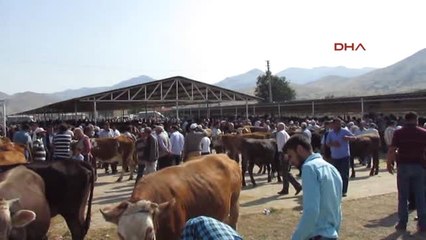 Afyonkarahisar Hayvan Pazarında 'Kurban' Yoğunluğu