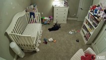 Pawful behaviour Excited dog sneaks into restricted baby room