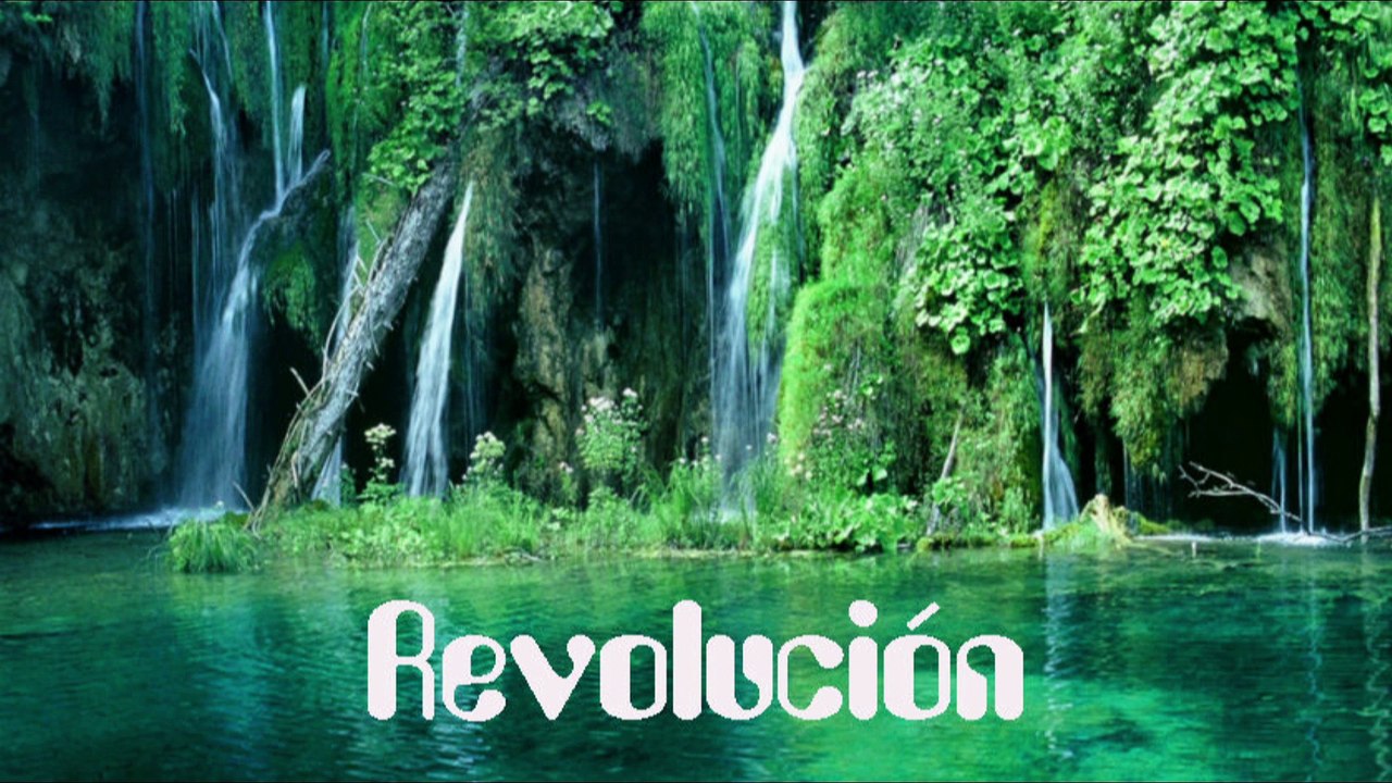 re-evolución