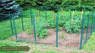 Beautiful Garden Fence Ideas | Good Small Fence for Garden | Garden Fence Collection