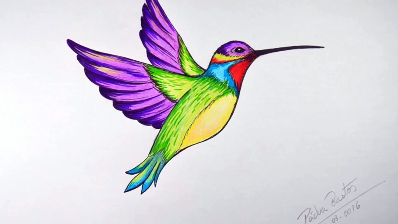 Una y una en un tiene una un en y una Cómo dibujar colibrí |