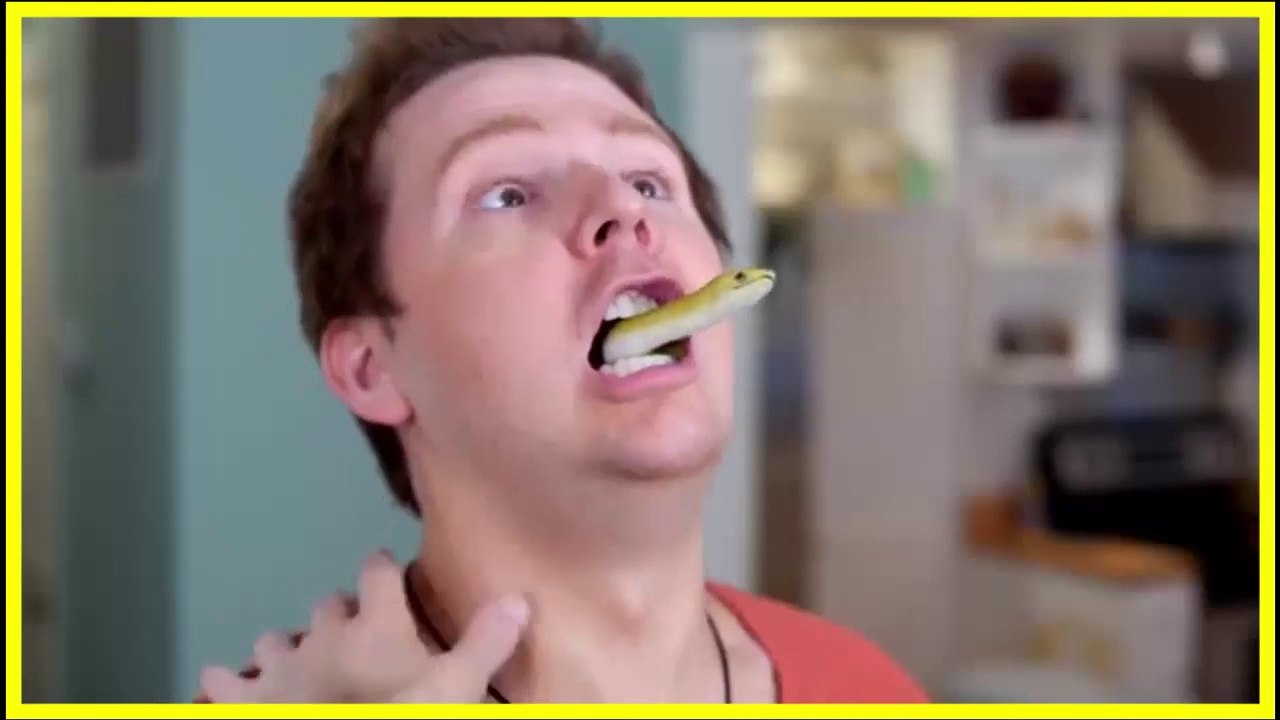 snake in mouth !(720p)