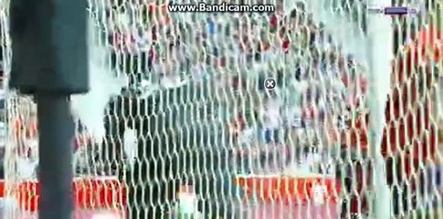 Damien Da Silva Goal ~ Lille vs Caen 0-1