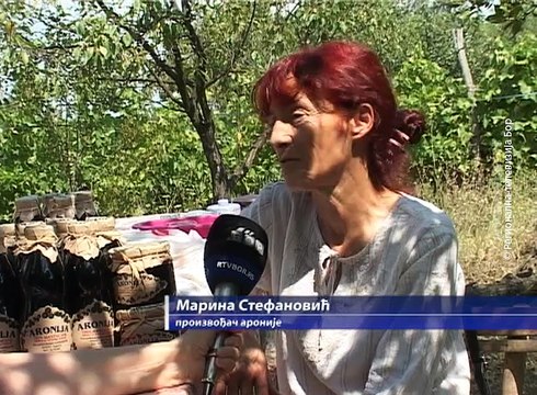 Rekordan rod aronije, 20. avgust 2017 (RTV Bor)