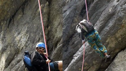 rappels