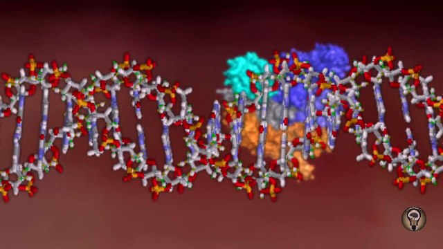 CRISPR Cas9 New Gene Editing Tool