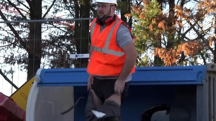 ANIMALS STRIKE BACK (REMI GAILLARD)