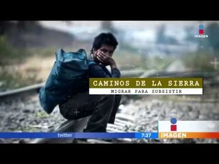 Los migrantes permiten vida en Guerrero | Noticias con Francisco Zea