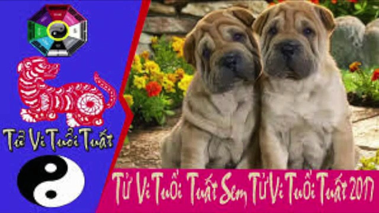 TỬ VI TRỌN ĐỜI NHỮNG NGƯỜI SINH NĂM 1970 NAM MẠNG - CÔNG DANH TIỀN BẠC - TỬ VI 24H - TỬ VI TƯỚNG SỐ