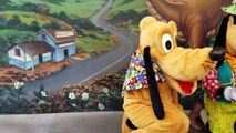 Y en pato mentecato reunión ratón Plutón cuidador Mickey Minnie donald de Disney IRL