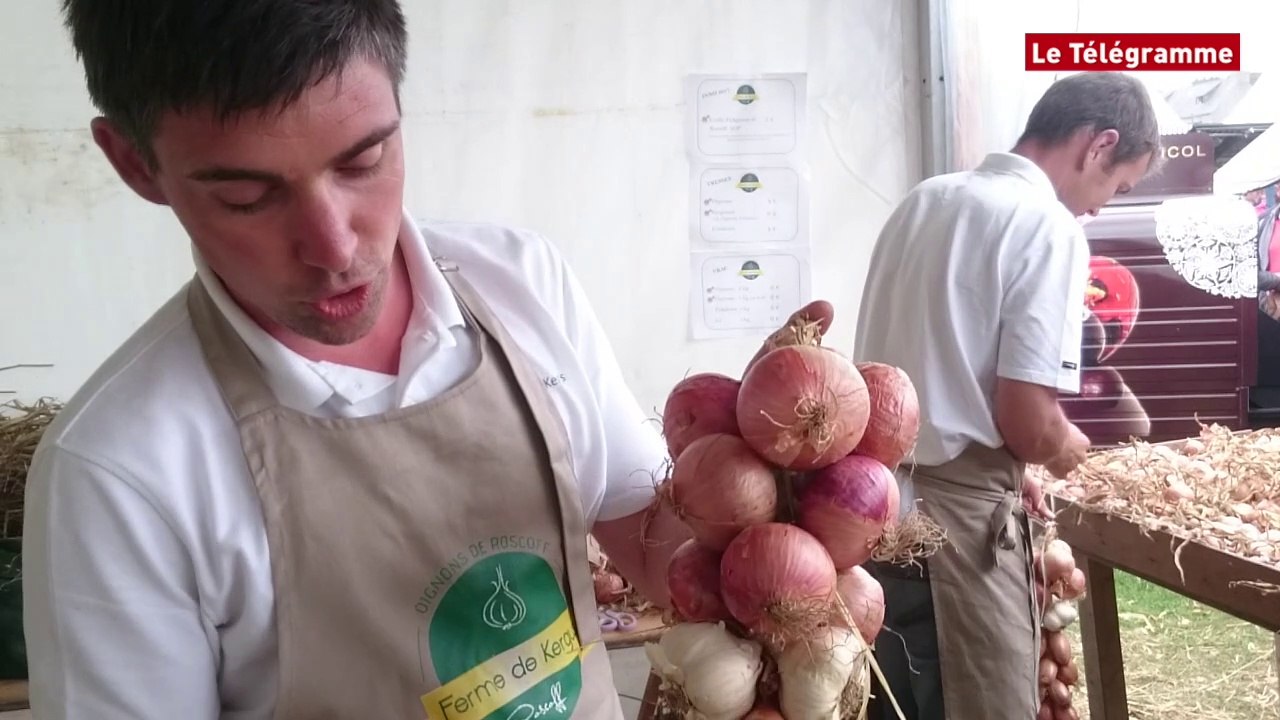 Roscoff. Une fête aux petits oignons