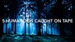 ☠5 Humanoids Caught On Camera ♦️ Mysterious Creatures☠