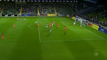Alois Holler  Goal HD - Mattersburg	1-1	Austria Vienna 20.08.2017