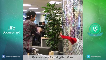 New ZACH KING Vine Compilation 2017 - BEST OF ZACH KING 2017 - The Best Vines